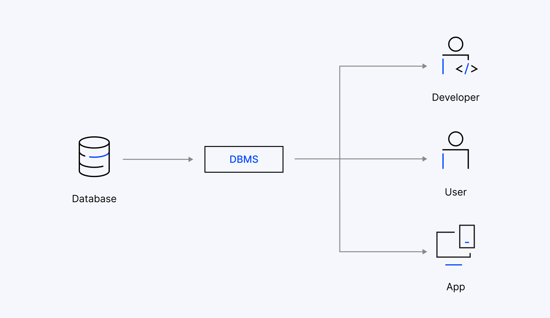 DBMS